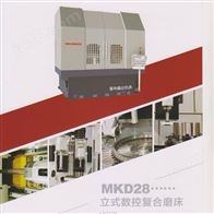 MKD28数控立式磨床